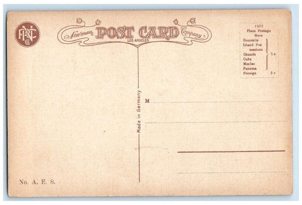 c1910 Siskyou Mountains Rock Bridge Trees SPRR California Oregon Route Postcard