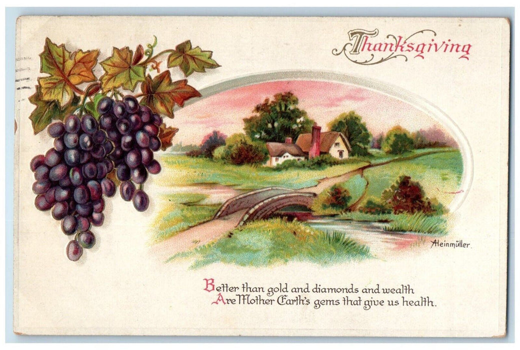 1914 Thanksgiving House Field Grapes Clapsaddle Aleinmuller Embossed Postcard