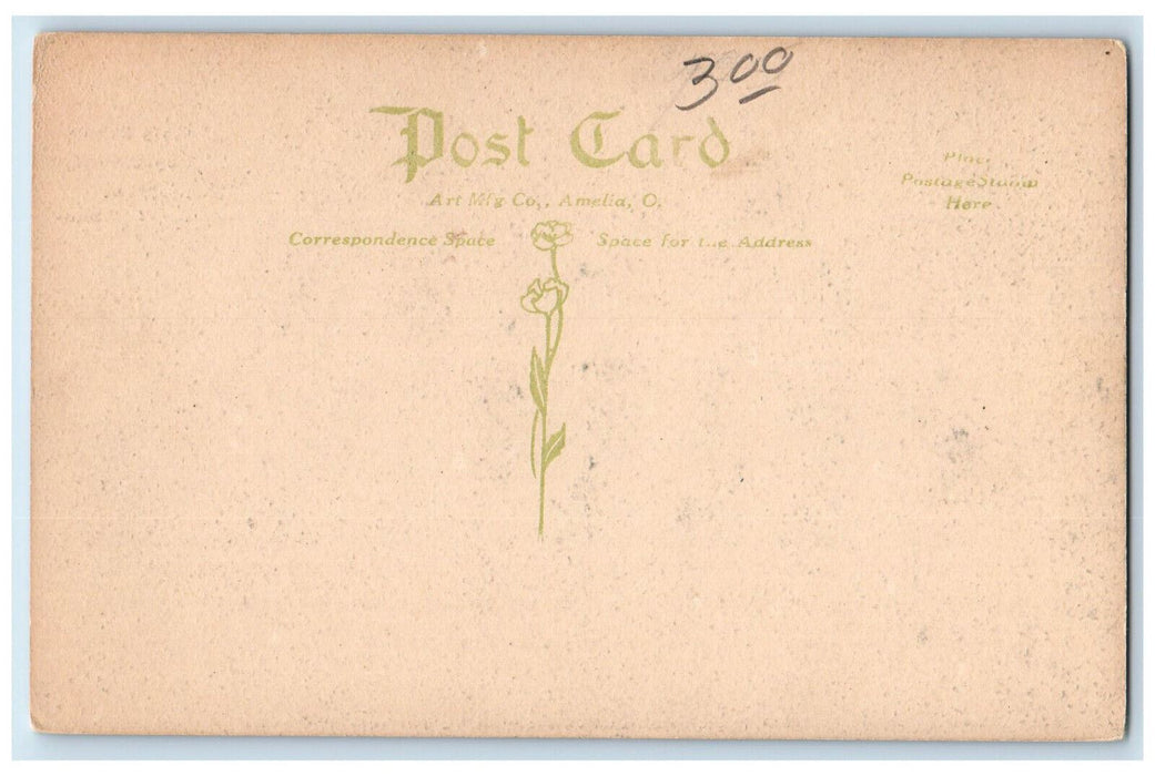 c1910 High School Constantine Michigan MI Unposted Antique Postcard