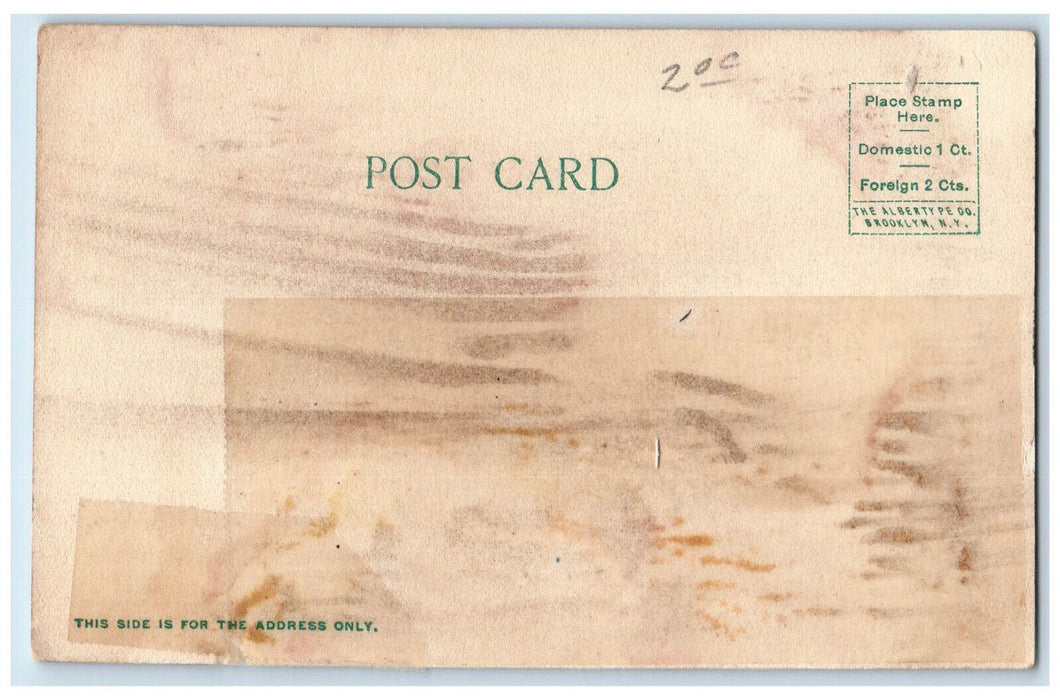 c1905 Greetings from Charlevoix Michigan MI Steamer Illinois Antique Postcard