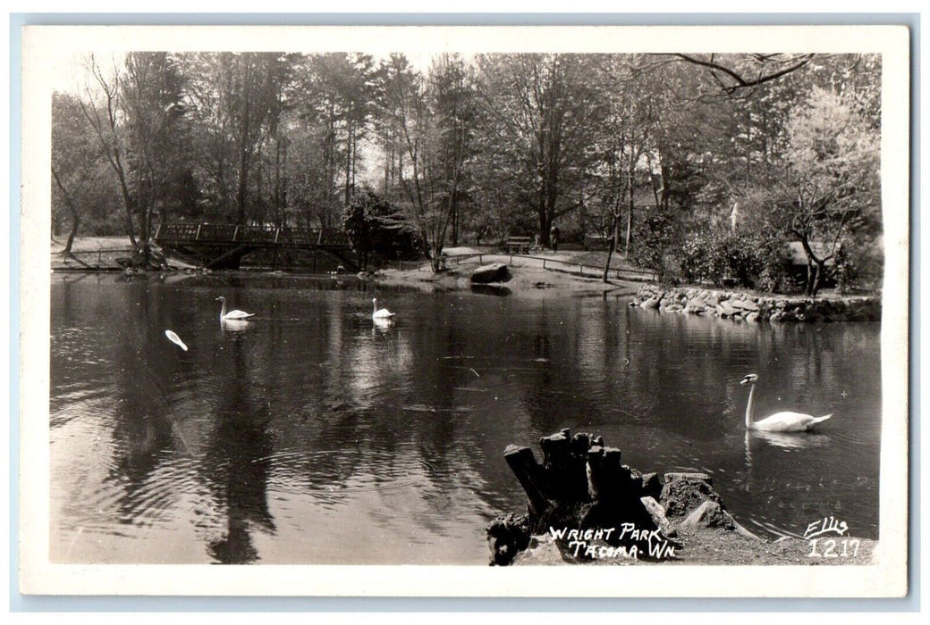 c1940's Wright Park Swans On Pond Tacoma Washington WA Ellis RPPC Photo Postcard