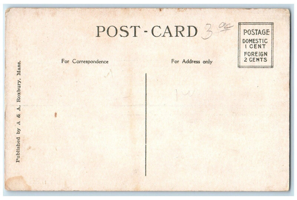 c1920 Nantasket Hotel Exterior Building Nantasket Beach Massachusetts Postcard