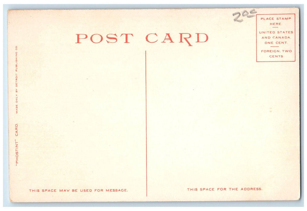 View Of The Heart Of Chicago Illinois IL Phostint Antique Unposted Postcard
