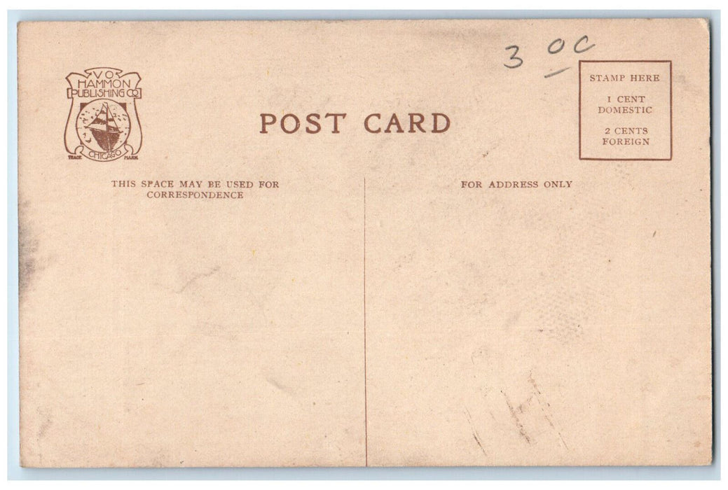 An Interior Decoration Marshall Field & Co.'s Retail Store Chicago IL Postcard