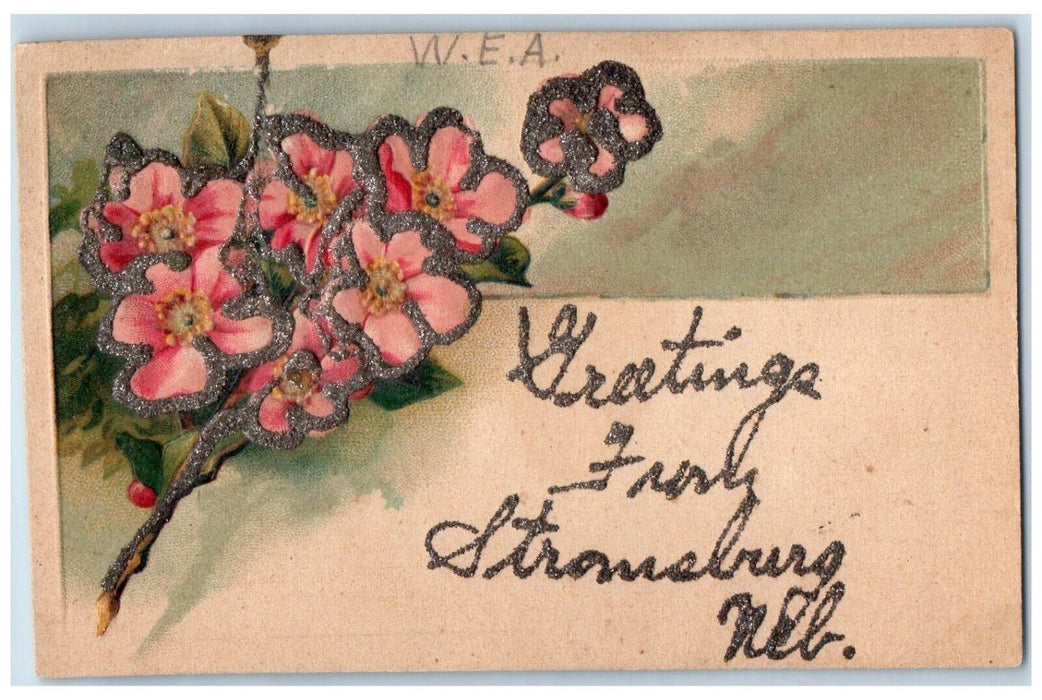 1910 Greetings From Strausburg Flower Glitter Embossed Nebraska Vintage Postcard
