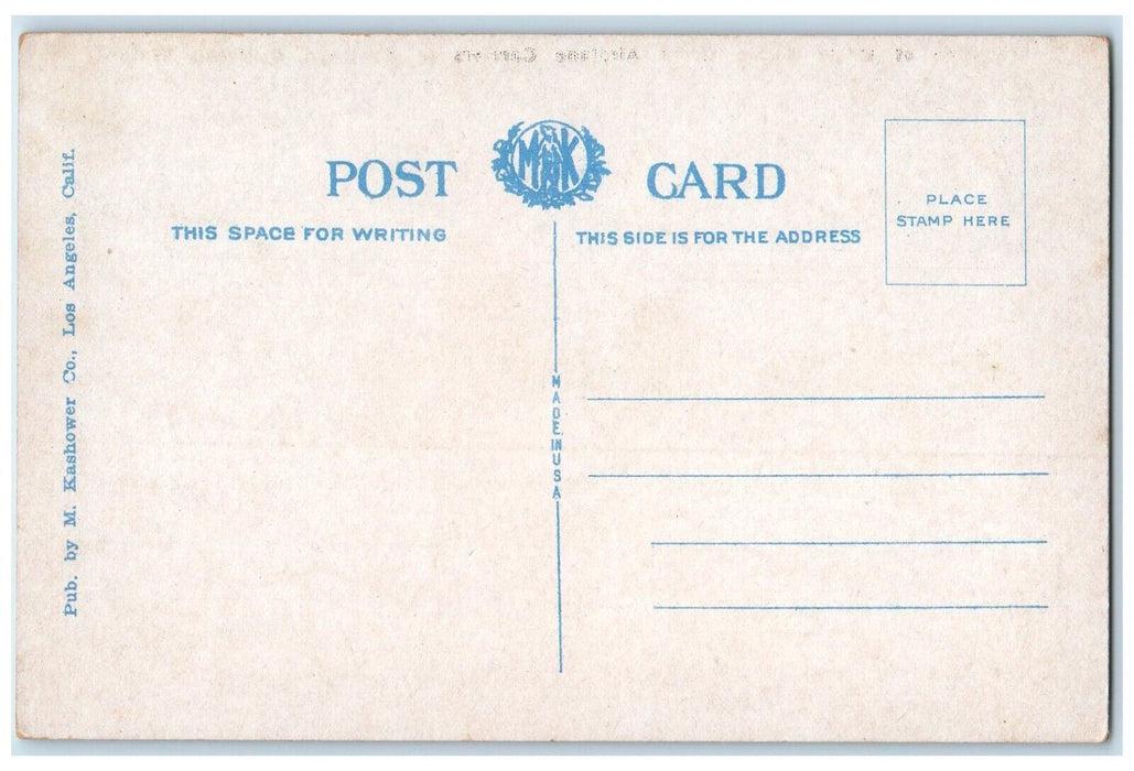 c1920 One Uncle Sam's Great Airplane Carriers Southern California Water Postcard