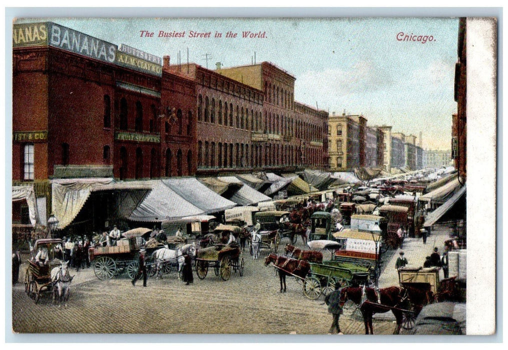 c1905 The Busiest Street In The World Horse Wagon Market Chicago IL Postcard