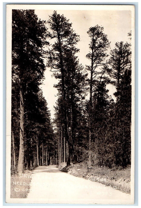 c1920's Pines On The Needle Road Black Hills South Dakota SD RPPC Photo Postcard