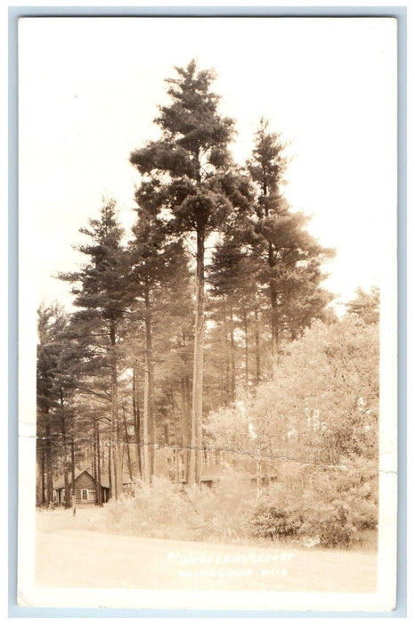 c1925 Woodland Resort Giant Tree Minocqua Wisconsin WI RPPC Photo Postcard
