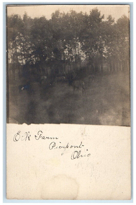 c1898 Elk Farm View Pierpont Ohio OH Early RPPC Photo Private Mailing Card