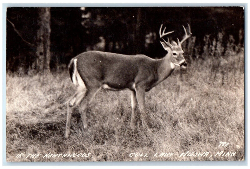 1945 In The Northwoods Gull Lake Deer Nisswa Minnesota MN RPPC Photo Postcard