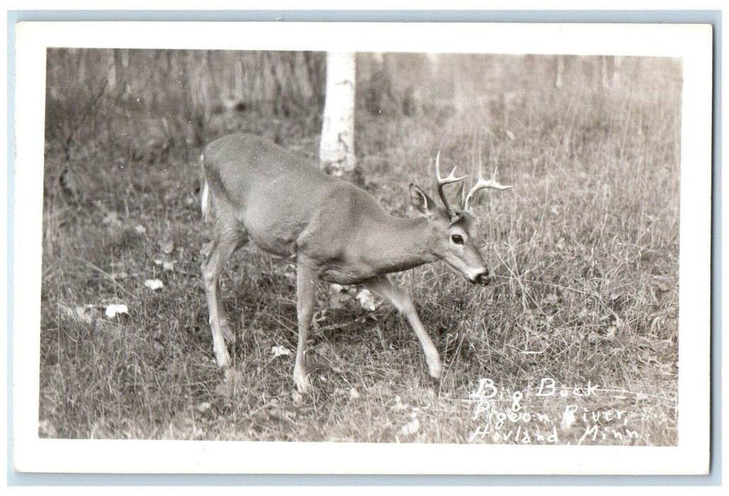 1953 Big Buck Deer Pigeon River Hovland Minnesota MN Vintage RPPC Photo Postcard