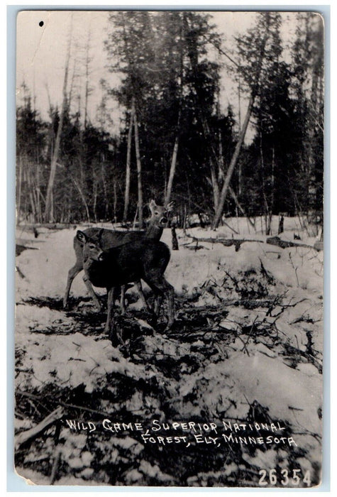 Wild Game Deer Superior National Forest Ely Minnesota MN RPPC Photo Postcard