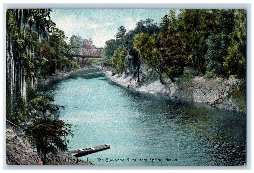 c1910 The Suwanee River from Spring House White Springs Florida FL Postcard