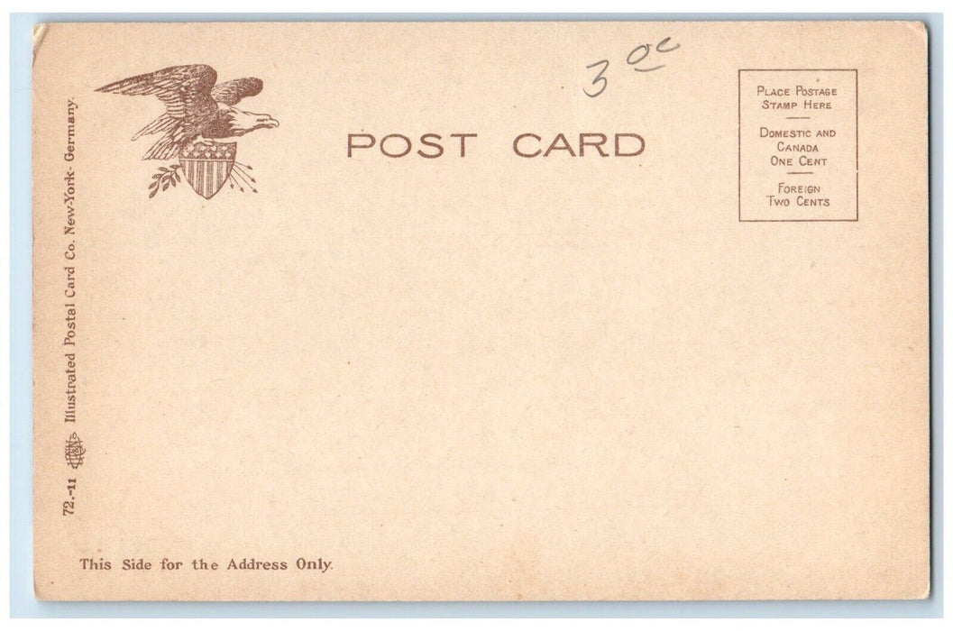 c1905 USS Massachusetts & USS Brooklyn Distance Moonlight Vintage Eagle Postcard