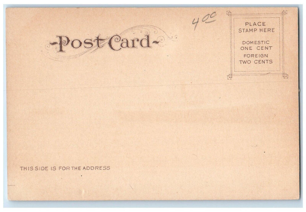 c1905 Steamer Santa Rosa Wharf Cruise Ferry Sea Santa Monica California Postcard