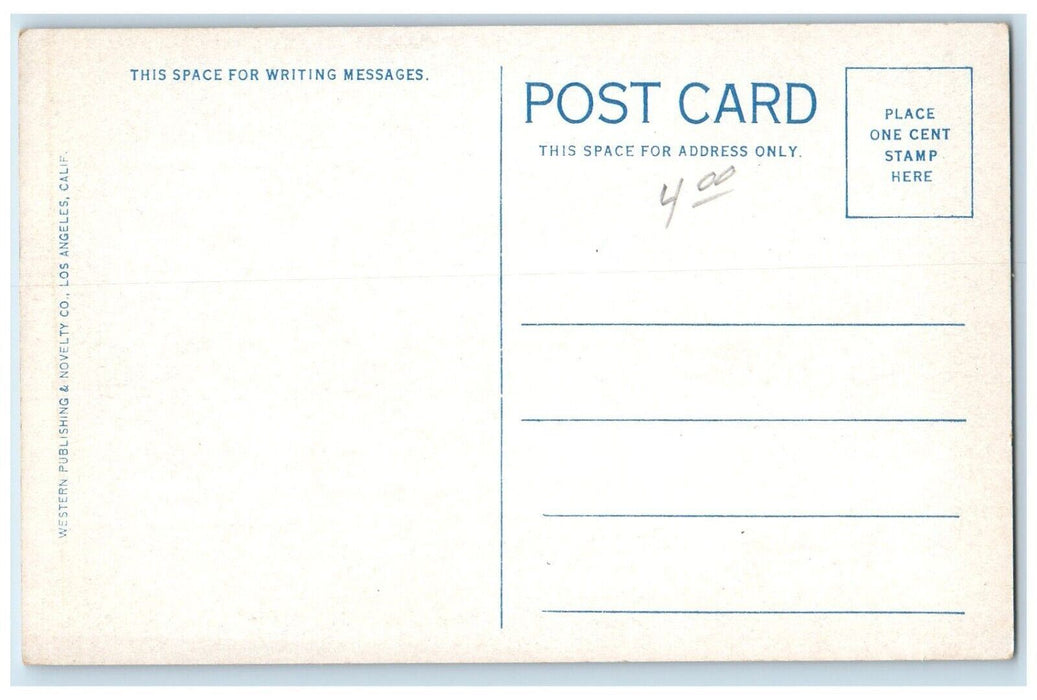 c1920 Steamer Catalina Cruise Ferry Ship Catalina Island California CA Postcard