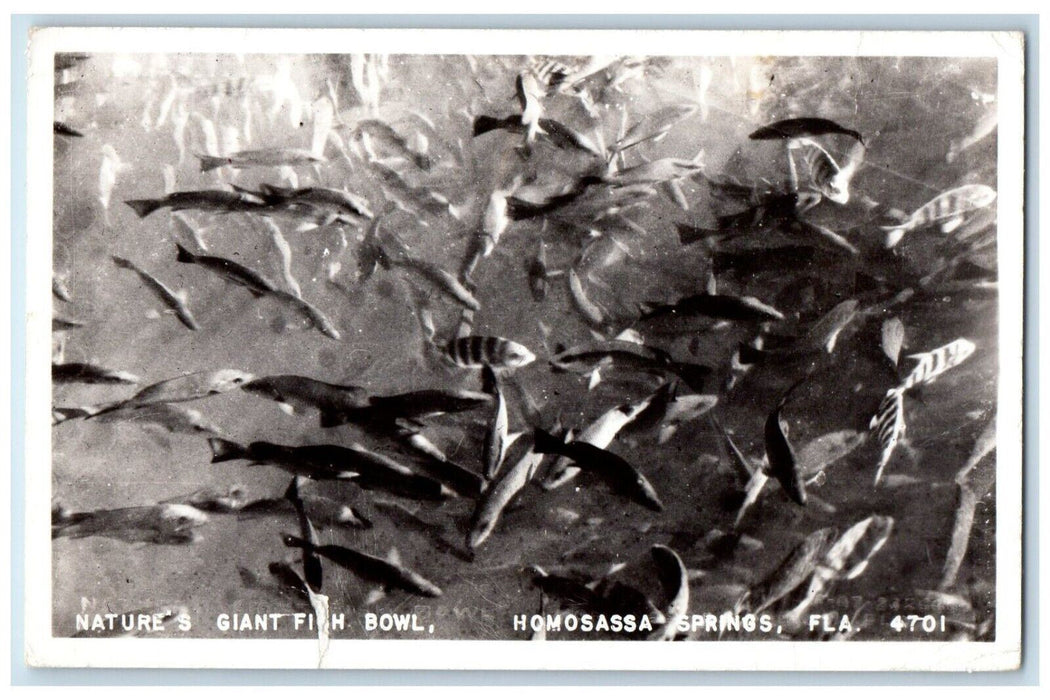 1974 Nature's Giant Fish Bowl Homosassa Springs Florida FL RPPC Photo Postcard