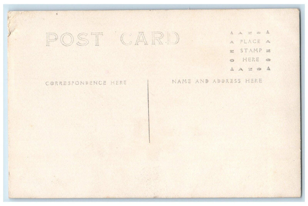 c1910's Cats Rooster Chicken Farm Eating Dinner Yum Antique RPPC Photo Postcard