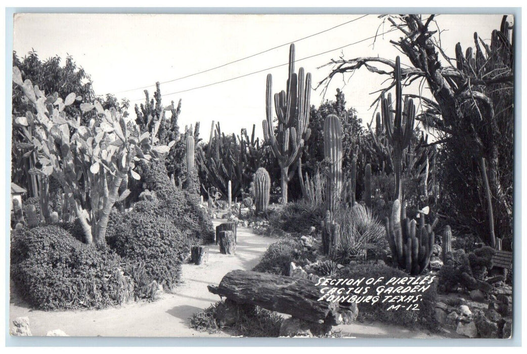 View Of Section Or Pirtle's Cactus Garden Edinburg Texas TX RPPC Photo Postcard