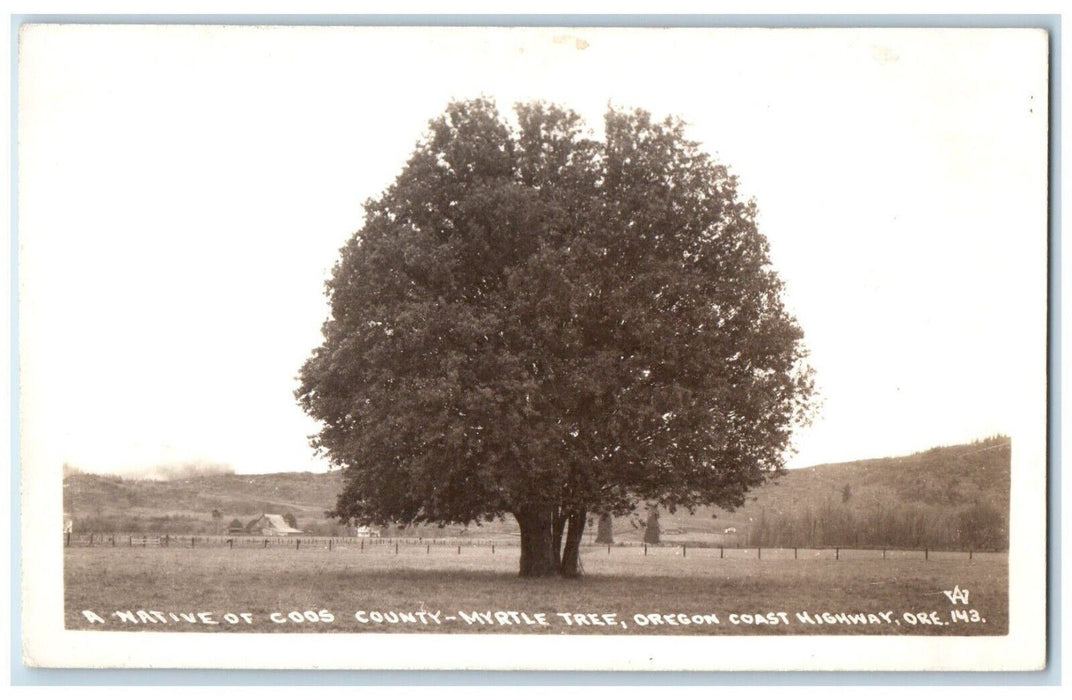 Native Of Coos Country Myrtle Tree Oregon Coast Highway OR RPPC Photo Postcard