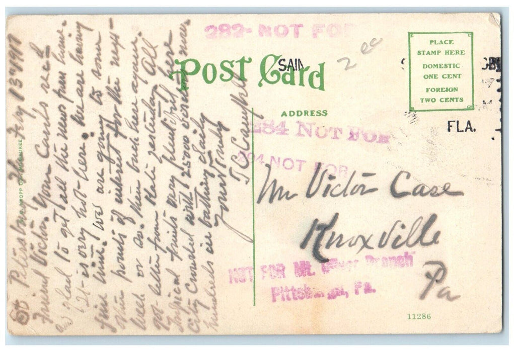 1917 Business Section from Plaza Theatre St. Petersburg Florida FL Postcard
