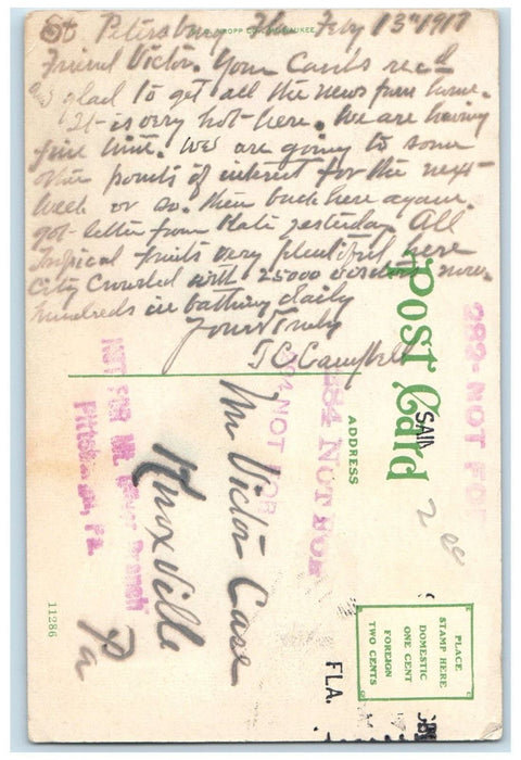 1917 Business Section from Plaza Theatre St. Petersburg Florida FL Postcard