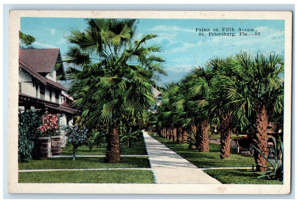 c1920's Palm on Fifth Avenue St. Petersburg Florida FL Unposted Postcard