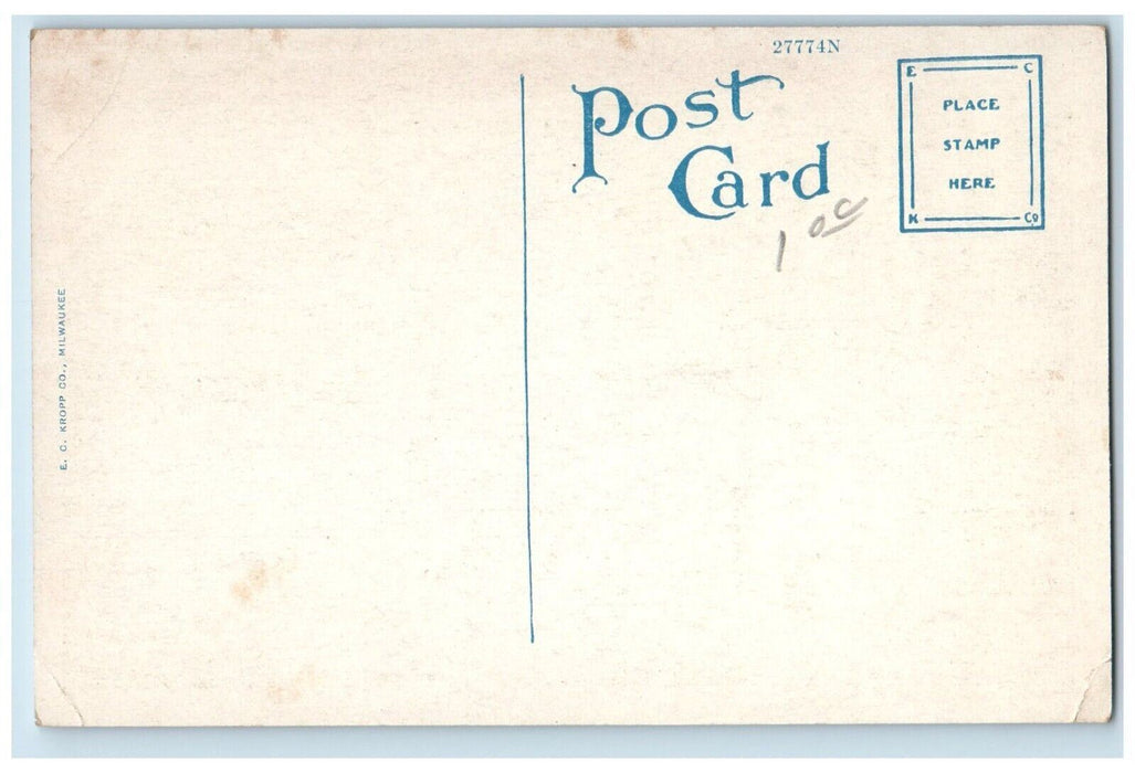 c1920's Palm on Fifth Avenue St. Petersburg Florida FL Unposted Postcard