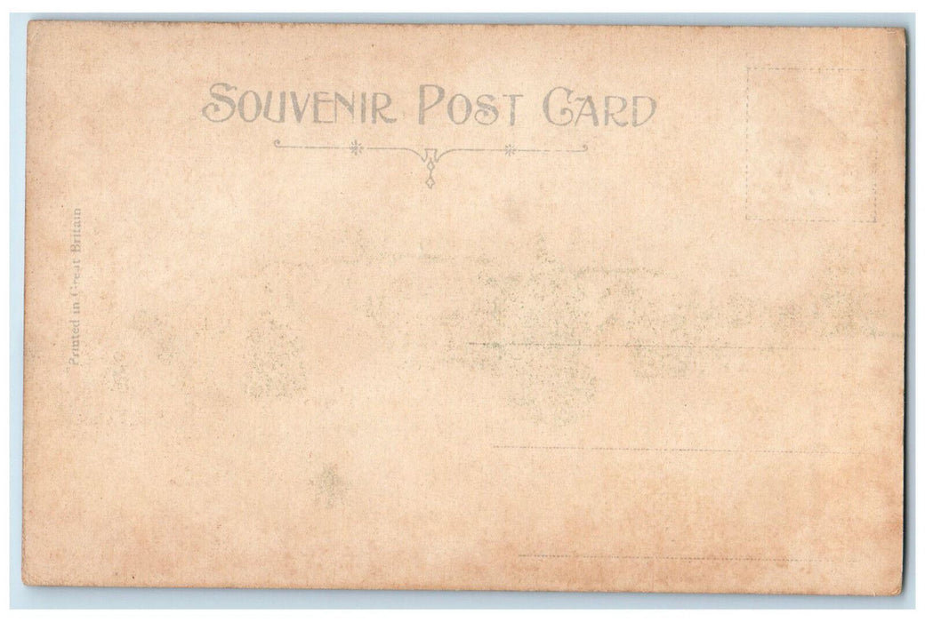 c1905 The Asylum Hamilton Ontario Canada Antique Unposted Souvenir Postcard