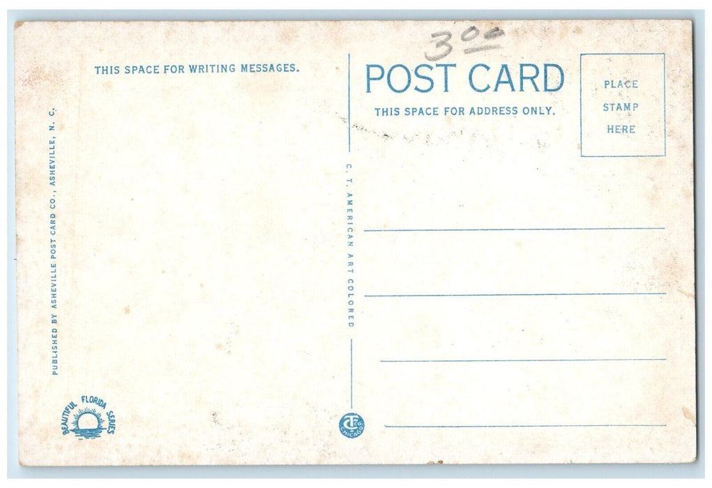 c1930's Steamship Scene at Port of St. Petersburg Florida FL Postcard