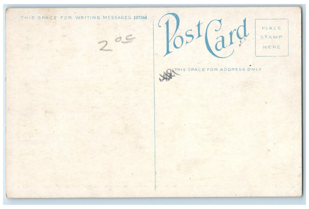 c1920's West Coast Inn St. Petersburg Florida FL Unposted Antique Postcard