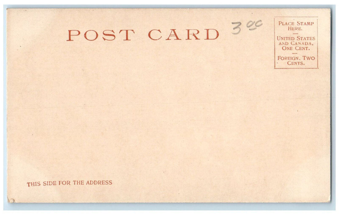 c1905 River View Boats Scene Memphis Tennessee TN Antique Unposted Postcard