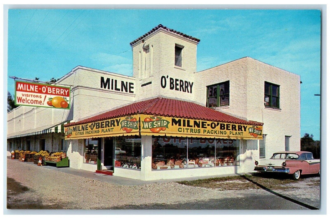 c1960's Milne-O'Berry Packing Co. Inc St.Petersburg Florida FL Postcard