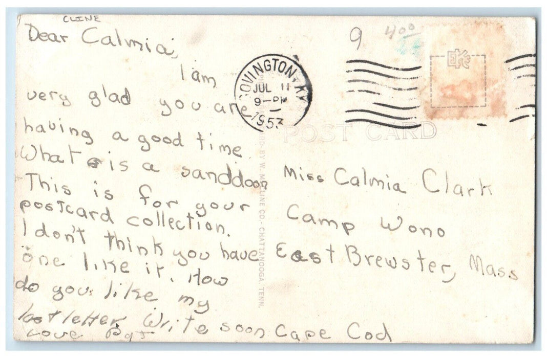 1953 DuPont Lodge Cumberland Falls State Park KY Cline RPPC Photo Postcard