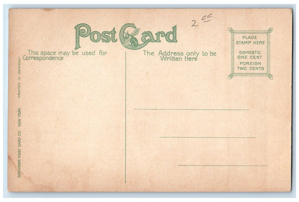 c1910 The Inn at Fejenary Park Davenport Iowa IA Antique Unposted Postcard