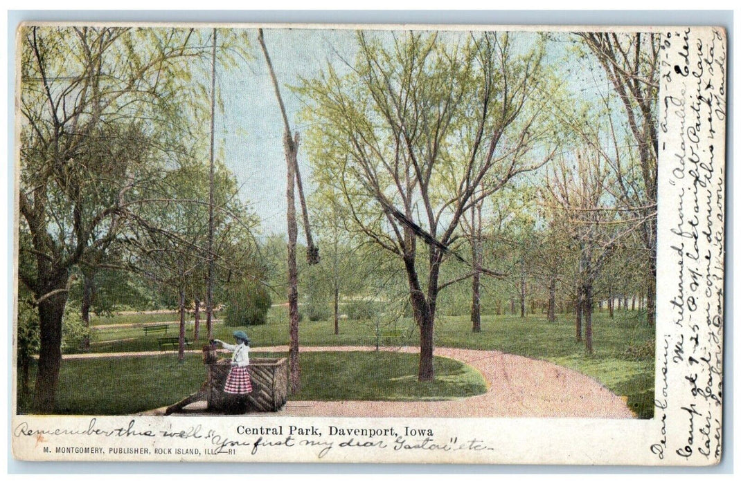 1906 Scenic View Central Park Well Davenport Iowa Rock Island Illinois Postcard