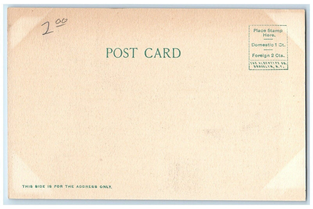 c1905 The Royal Poinciana Palm Beach Florida FL Antique Unposted Postcard