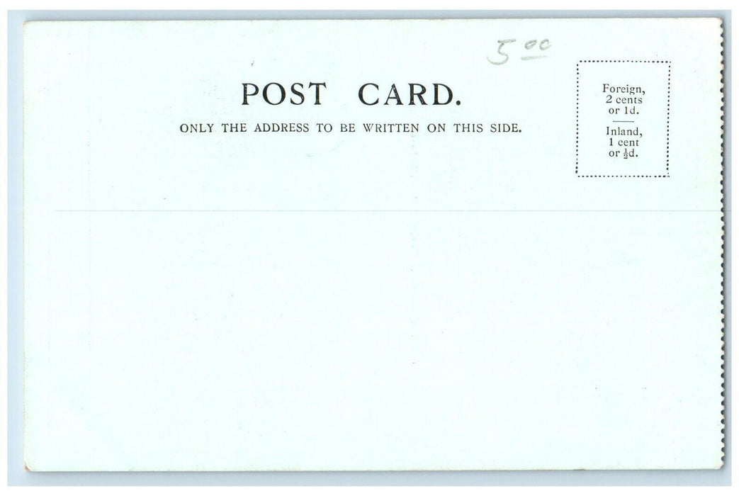c1905 Visit Scotland Anchor Line Twin-Screw Caledonia Steamship Antique Postcard