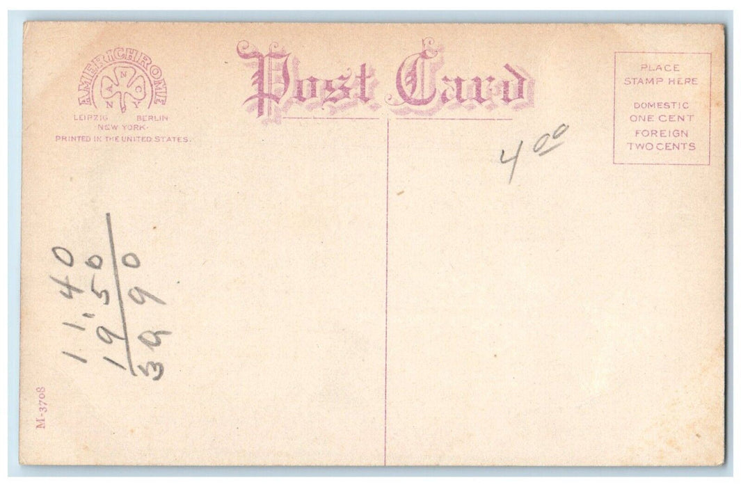 c1910 Steamer Newport News Norfolk Washington Steamboat Co. Cruise WA Postcard
