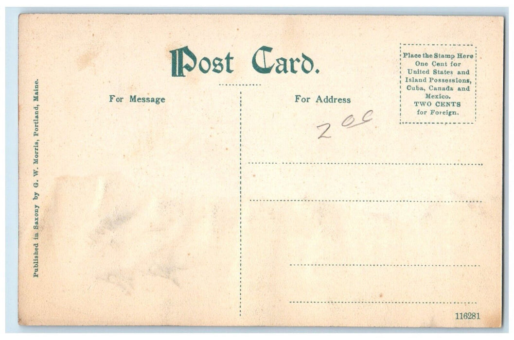 c1910 White Hall Palm Beach Florida FL GW Morris Antique Unposted Postcard