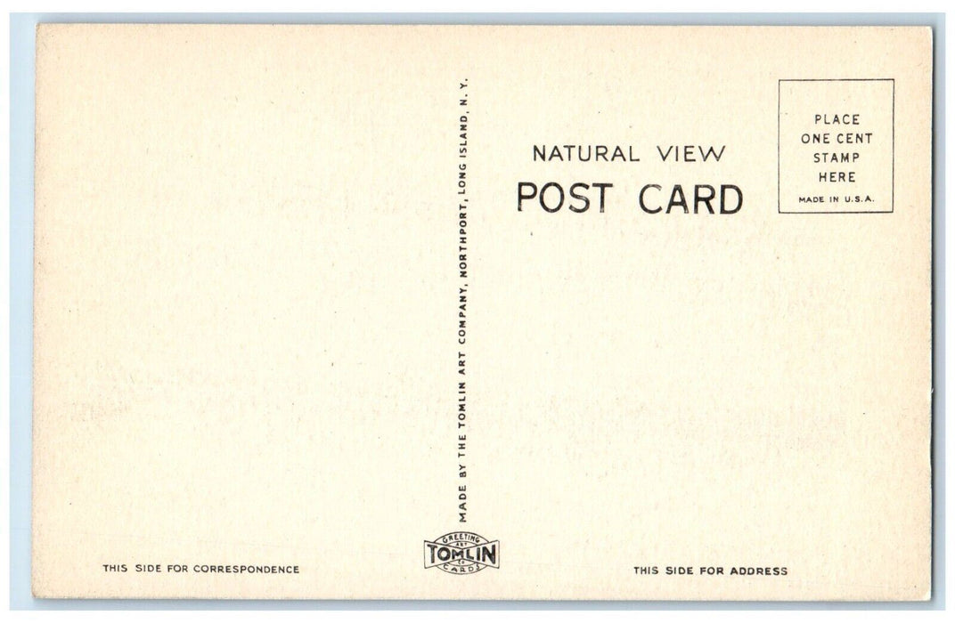 c1950's Public Library War Memorial Huntington Long Island New York NY Postcard