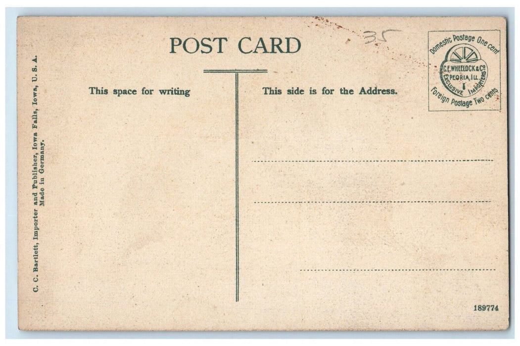 1916 Palisade No.4 Palisade Park Iowa Falls Iowa IA Unposted Postcard