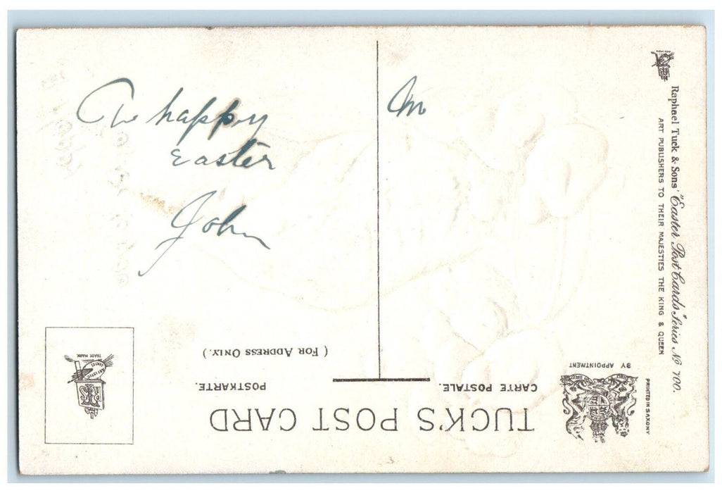 c1910's Easter Chicken Hen Hatched Egg Nest Embossed Tuck's Antique Postcard