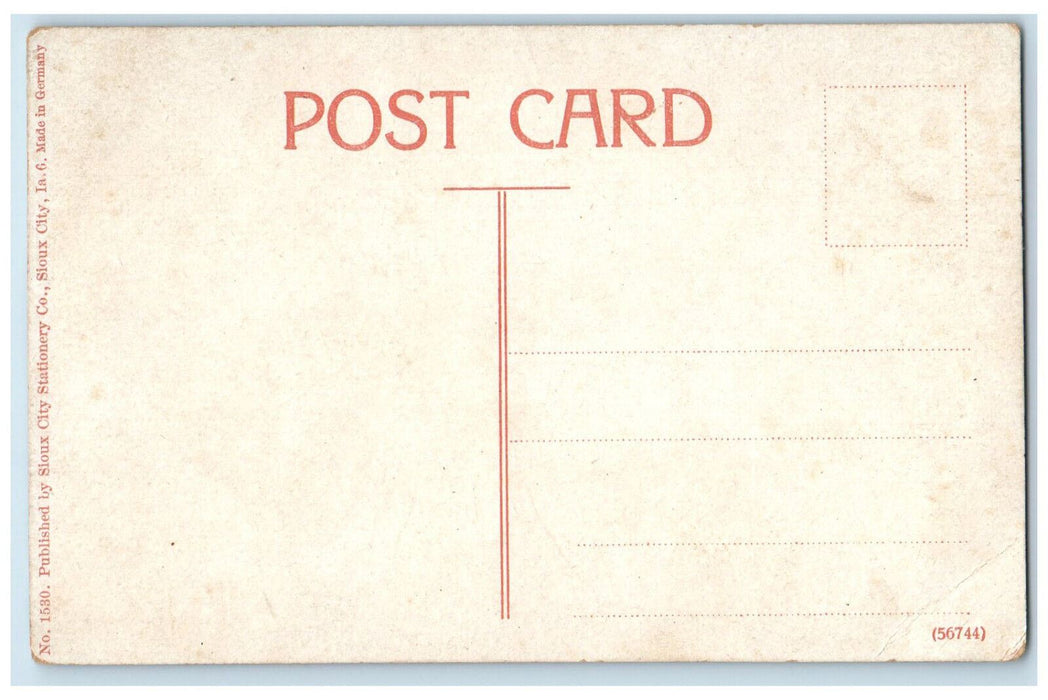 View Of Fourth Street East From Pierce Sioux City Iowa IA Antique Postcard