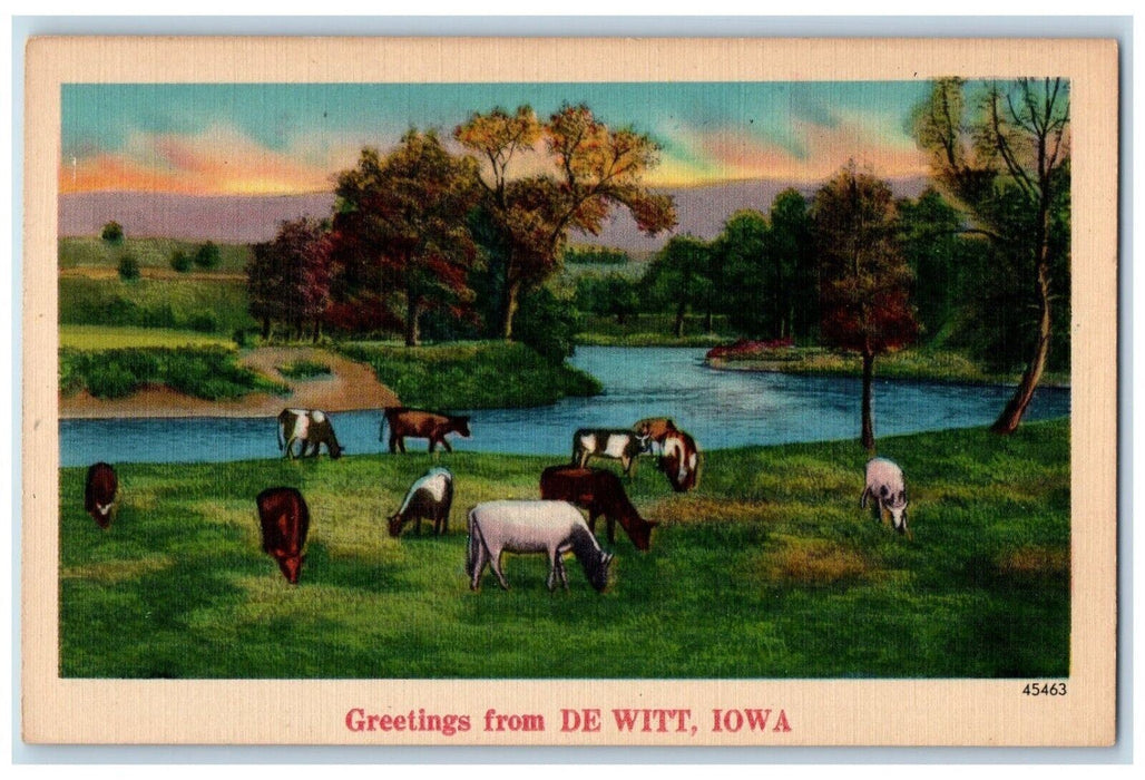 1940 Greetings De Witt Iowa IA Banner Animals Cows Lake Vintage Antique Postcard