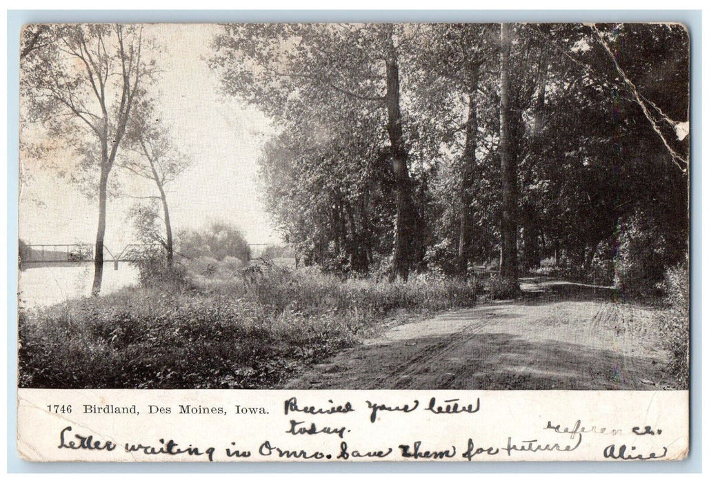 1907 Birdland Dirt Road Trees Nature Scene Des Moines Iowa IA Antique Postcard