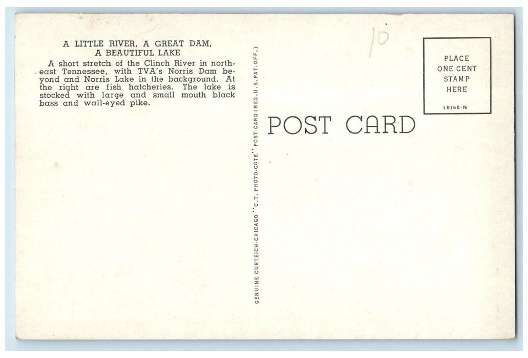 c1940 Little River Great Dam Beautiful Lake Tennessee Antique Vintage Postcard