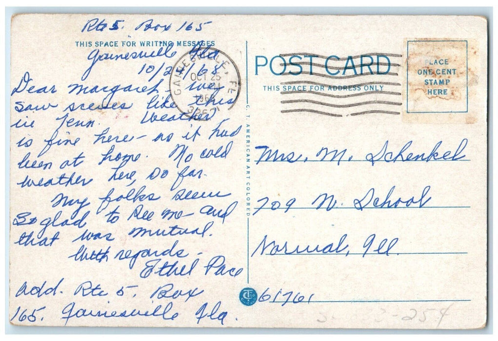 1968 Appalachian Scenic Highway Scene Elizabethhton Tennessee Vintage Postcard