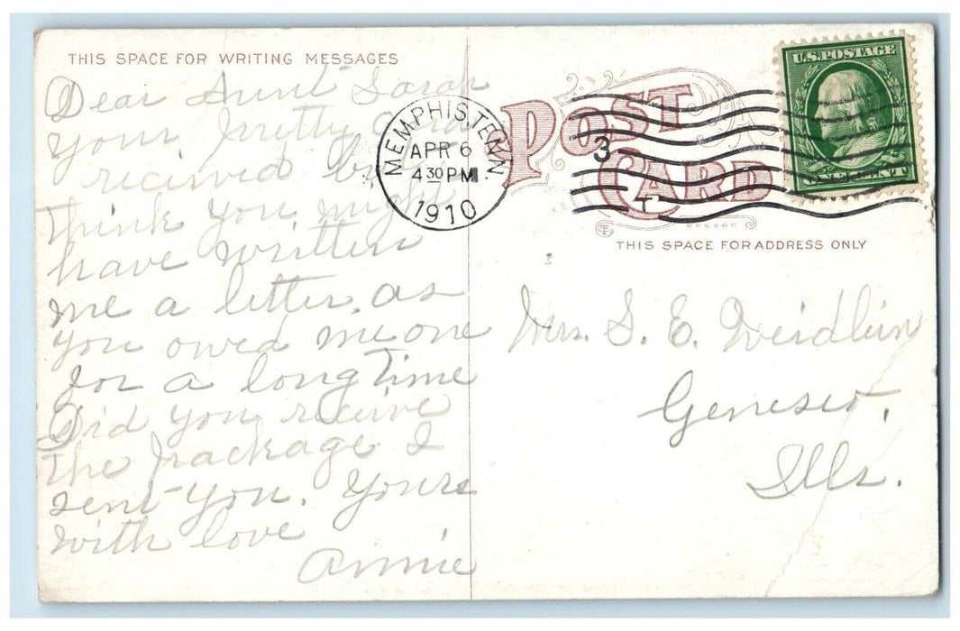 1910 Scenic View Lake Overton Park Memphis Tennessee TN Antique Vintage Postcard
